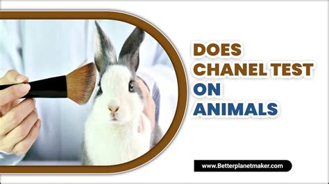 does chanel test on animals 2018|is chanel animal friendly.